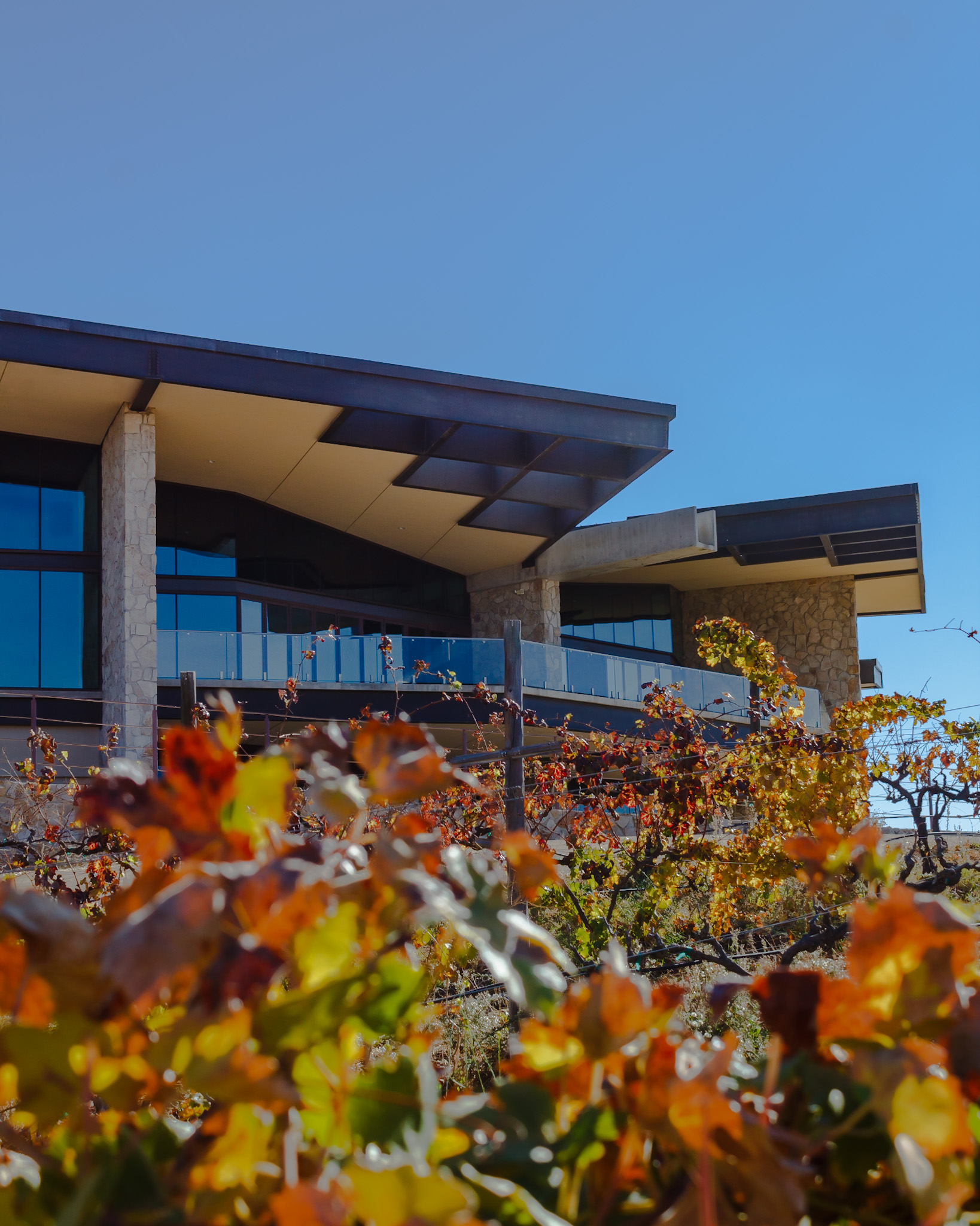 Museo de la Vid y el Vino de BC